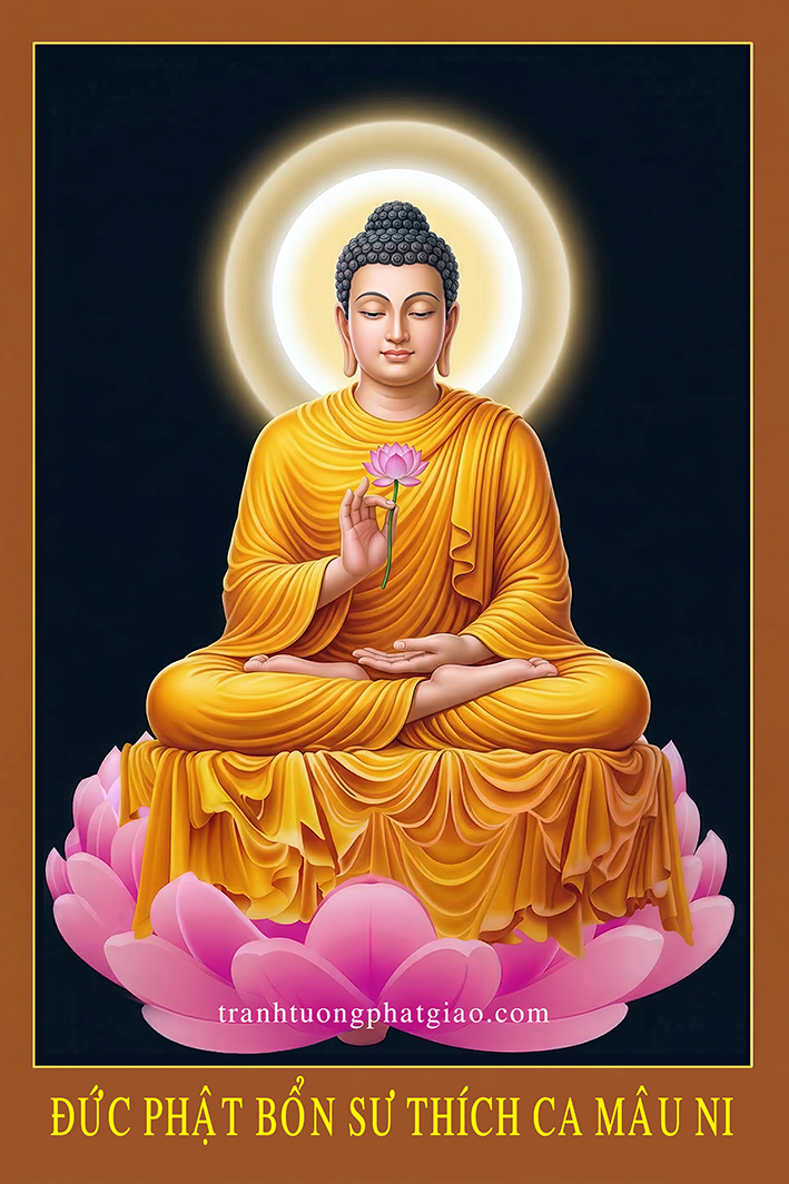 Tranh Bổn Sư liên tiếu